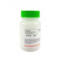 Amyse 25g